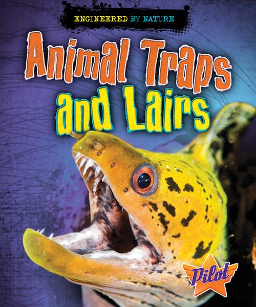 Animal Traps and Lairs by Louise Spilsbury, Richard Spilsbury, 9781626175877