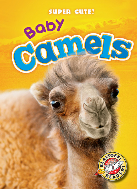 Baby Camels by Dana Fleming, Megan Borgert-Spaniol, 9781626173873