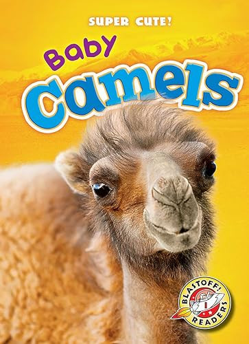 Baby Camels by Megan Borgert-Spaniol, Dana Fleming, 9781626173873