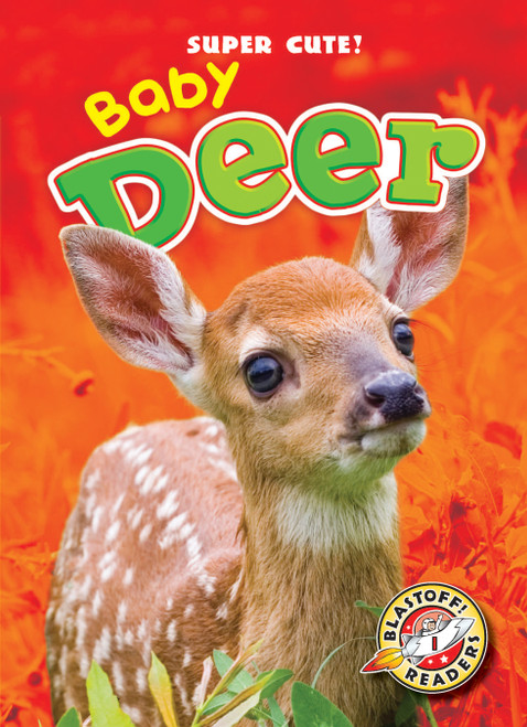 Baby Deer by Dana Fleming, Bethany Olson, 9781600149252