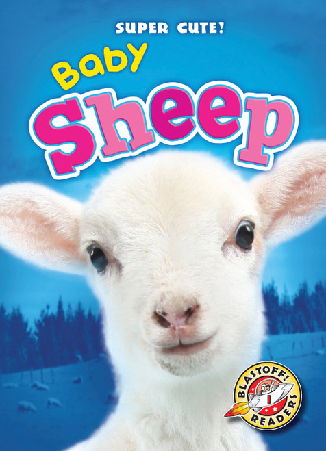 Baby Sheep by Dana Fleming, Christina Leaf, 9781600149788