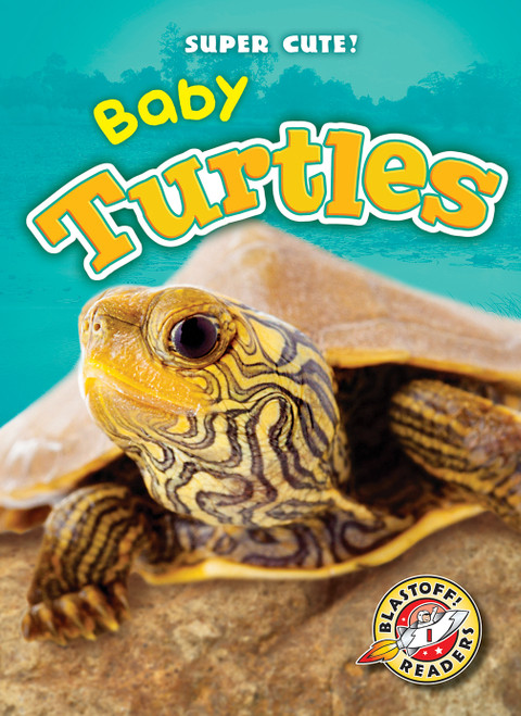 Baby Turtles by Dana Fleming, Megan Borgert-Spaniol, 9781626173903