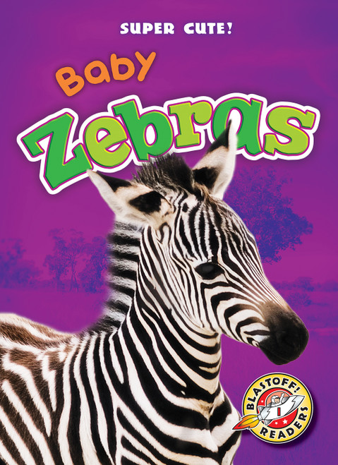 Baby Zebras - 9781626175488 by Dana Fleming, Megan Borgert-Spaniol, 9781626175488