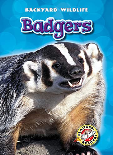 Badgers by Derek Zobel, Dana Fleming, 9781600145957