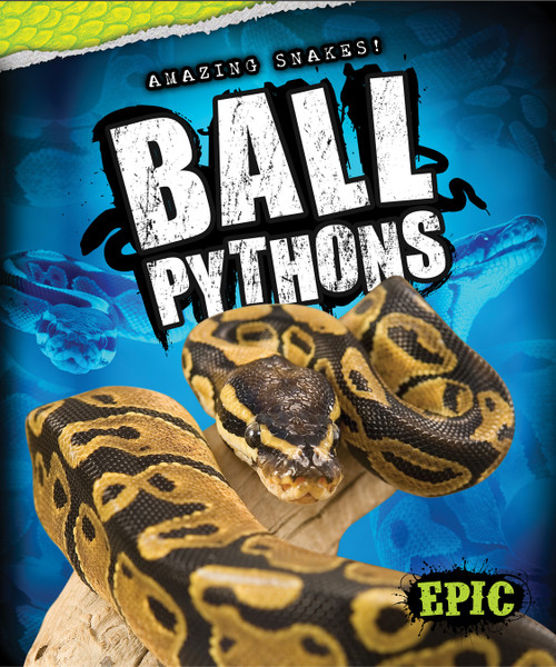 Ball Pythons - 9781626170889 by Davy Sweazey, 9781626170889