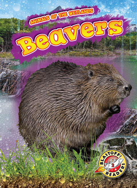 Beavers - 9781626179868 by Rachel Grack, 9781626179868