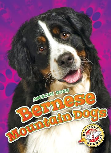 Bernese Mountain Dogs - 9781626177390 by Rebecca Sabelko, 9781626177390