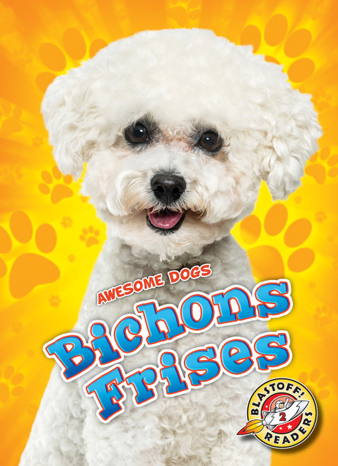 Bichons Frises by Lindsay Shaffer, 9781626179066