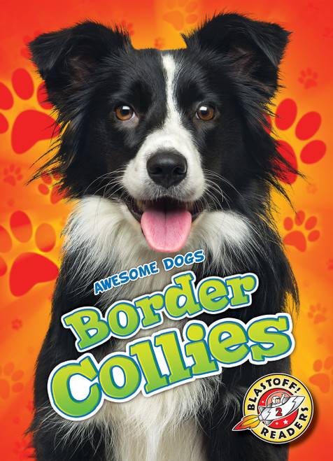 Border Collies by Rebecca Sabelko, 9781626177406