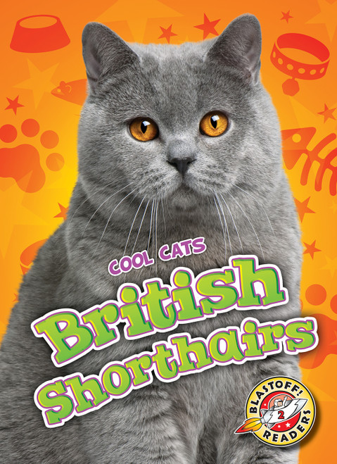 British Shorthairs by Christina Leighton, 9781626173958