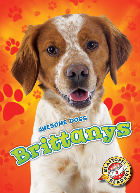 Brittanys by Lindsay Shaffer, 9781626179073