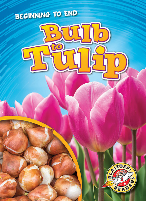 Bulb to Tulip by Rachel Grack, 9781644871379