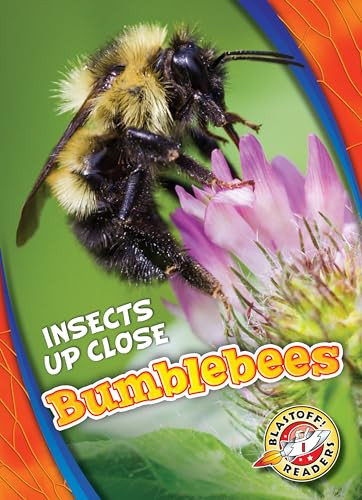 Bumblebees - 9781626178014 by Patrick Perish, 9781626178014