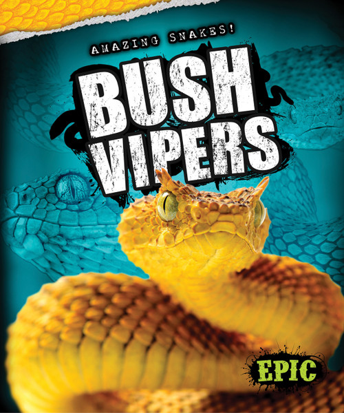 Bush Vipers by Davy Sweazey, 9781626170902
