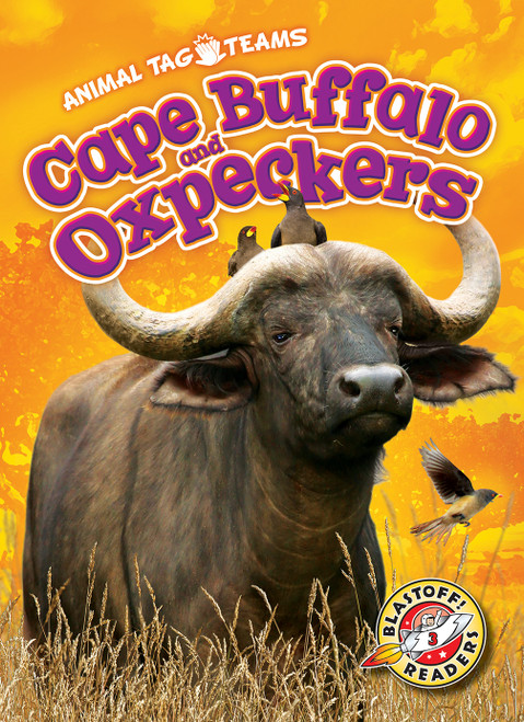 Cape Buffalo and Oxpeckers by Kari Schuetz, 9781626179530
