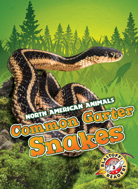 Common Garter Snakes by Rebecca Sabelko, 9781626179103