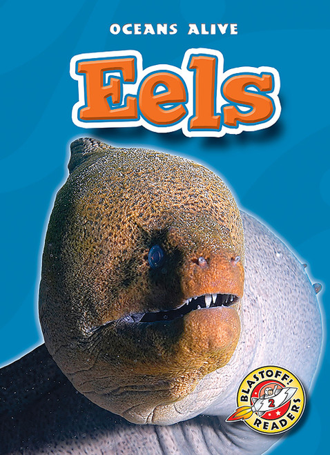 Eels - 9781600141720 by Mandy Kaplan, Derek Zobel, 9781600141720