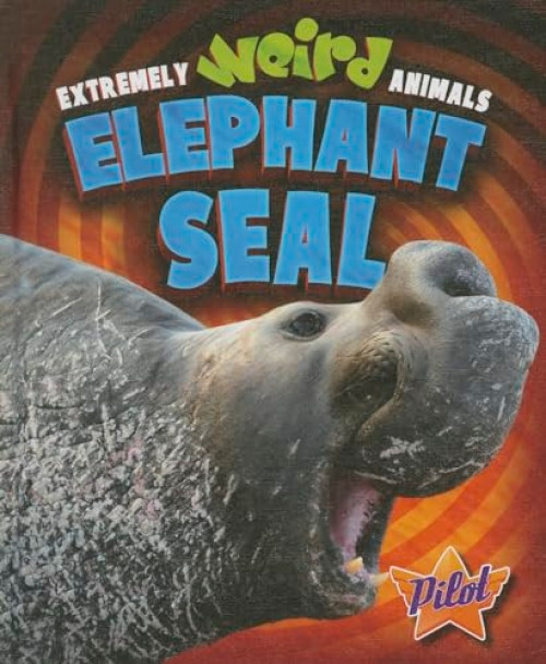 Elephant Seal - 9781626170742 by Lisa Owings