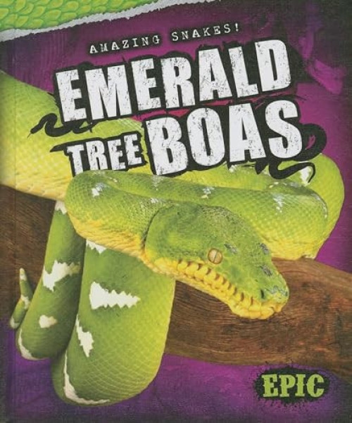 Emerald Tree Boas by Emily Rose Oachs, 9781626170926