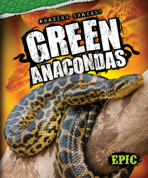 Green Anacondas by Emily Rose Oachs, 9781626170933