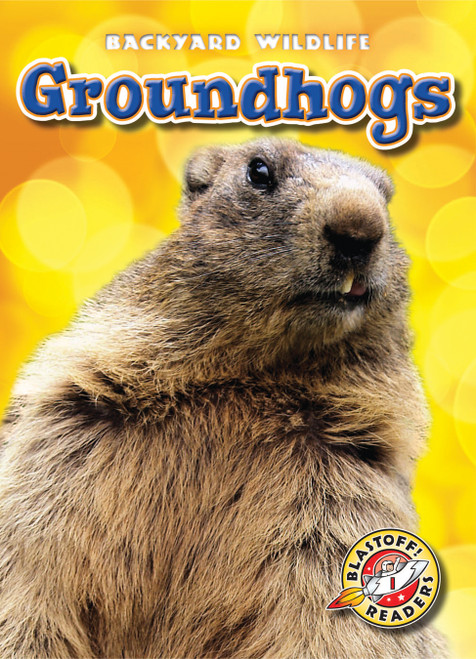 Groundhogs - 9781626170575 by Kari Schuetz, 9781626170575