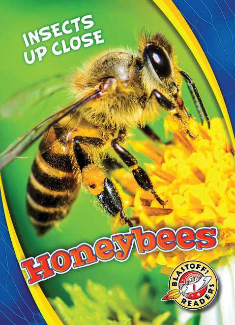 Honeybees - 9781626176669 by Christina Leaf, 9781626176669