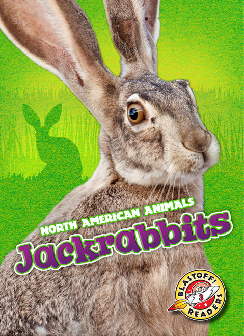 Jackrabbits - 9781626175396 by Dana Fleming, Christina Leaf, 9781626175396