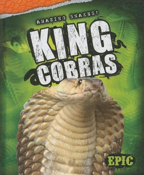 King Cobras - 9781626170940 by Davy Sweazey