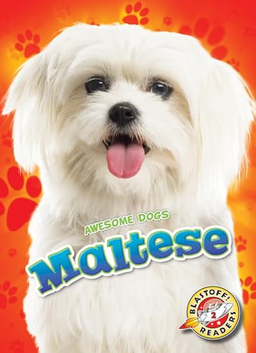 Maltese - 9781644871157 by Kaitlyn Duling, 9781644871157