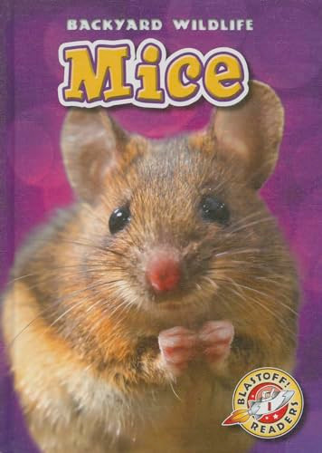 Mice - 9781626170605 by Kari Schuetz, 9781626170605