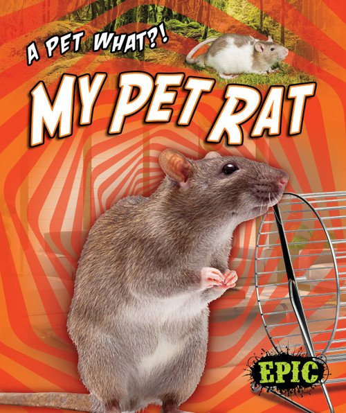 My Pet Rat by Paige V. Polinsky, 9781644871850