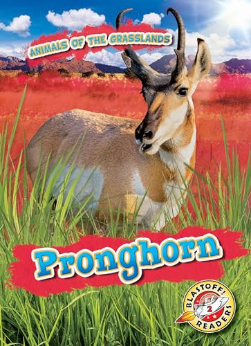 Pronghorn by Kaitlyn Duling, 9781644872291