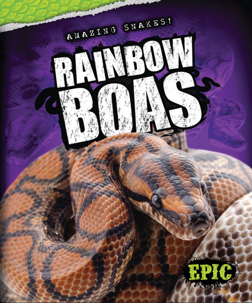Rainbow Boas by Chris Bowman, 9781626171251