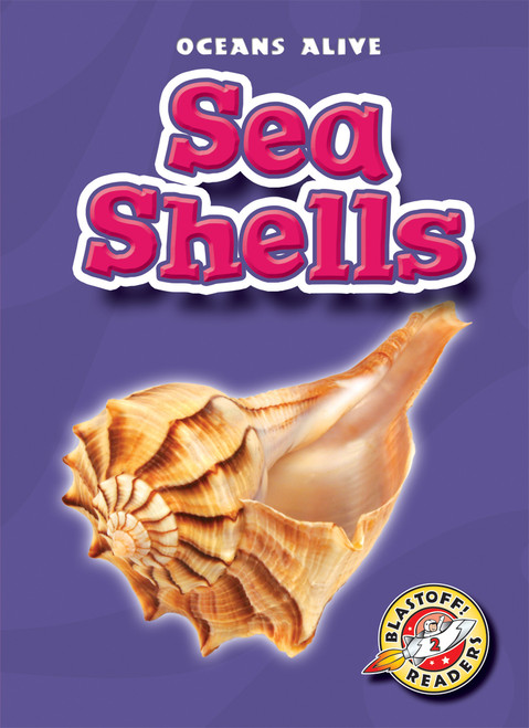 Sea Shells by Shari Skeie, 9781600142086