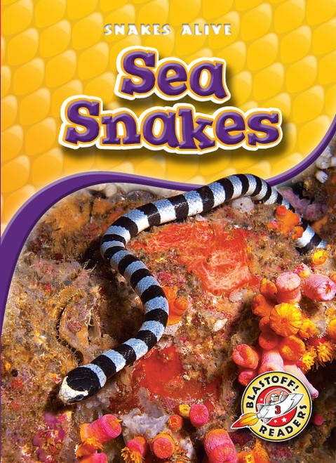 Sea Snakes - 9781600143205 by David Christian, Colleen Sexton, 9781600143205