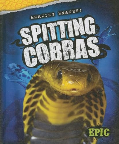 Spitting Cobras by Emily Rose Oachs, 9781626170957