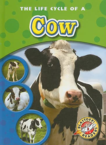 The Life Cycle of a Cow by Colleen Sexton, 9781600144516