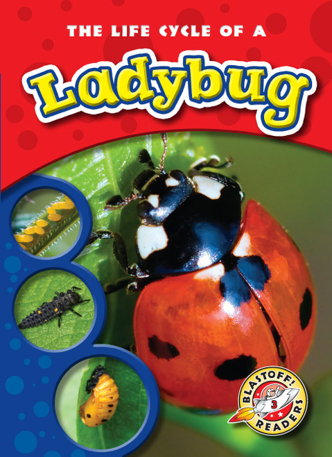 The Life Cycle of a Ladybug - 9781600145254 by Mandy Kaplan, Colleen Sexton, 9781600145254