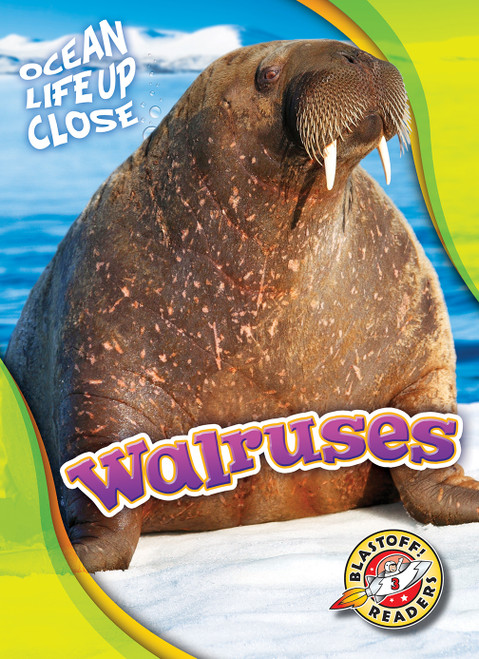 Walruses - 9781626174245 by Kari Schuetz, 9781626174245