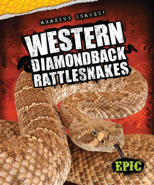 Western Diamondback Rattlesnakes by Chris Bowman, 9781626171268