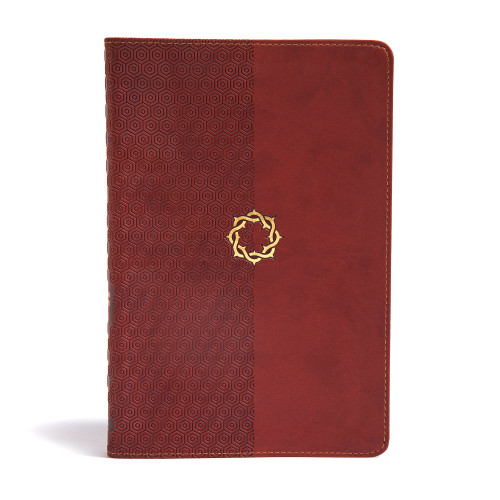 CSB Essential Teen Study Bible, Walnut LeatherTouch by B&H Kids Editorial Staff, CSB Bibles by Holman, 9781433648731