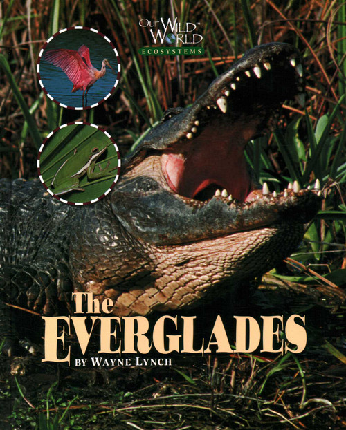 Everglades - 9781559719704 by Wayne Lynch, 9781559719704