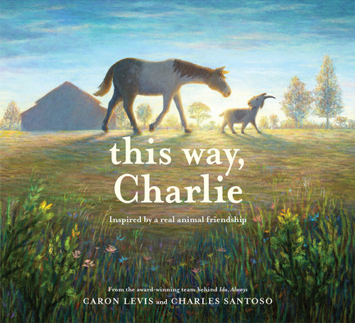 This Way, Charlie (A Picture Book) by Caron Levis, Charles Santoso, 9781419742064