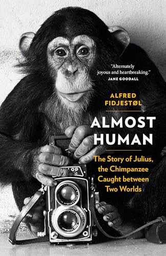 Almost Human (The Story of Julius, the Chimpanzee Caught between Two Worlds) by Alfred Fidjestøl, 9781771643856