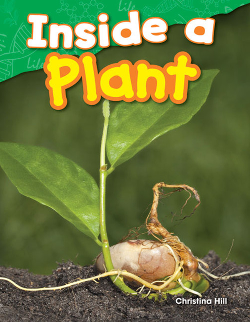 Inside a Plant by Christina Hill, 9781480745605