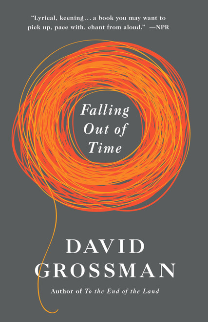 Falling Out of Time by David Grossman, 9780345805850