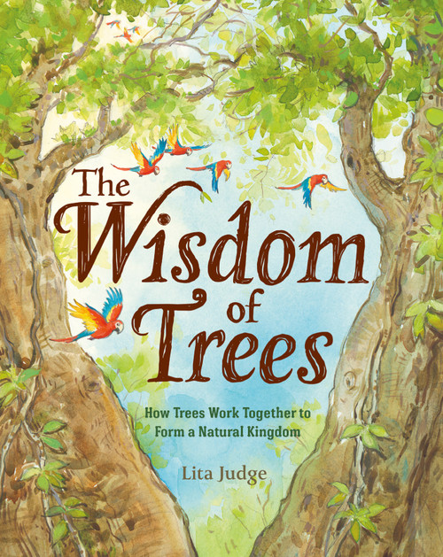 The Wisdom of Trees (How Trees Work Together to Form a Natural Kingdom) - 9781250237071 by Lita Judge, 9781250237071