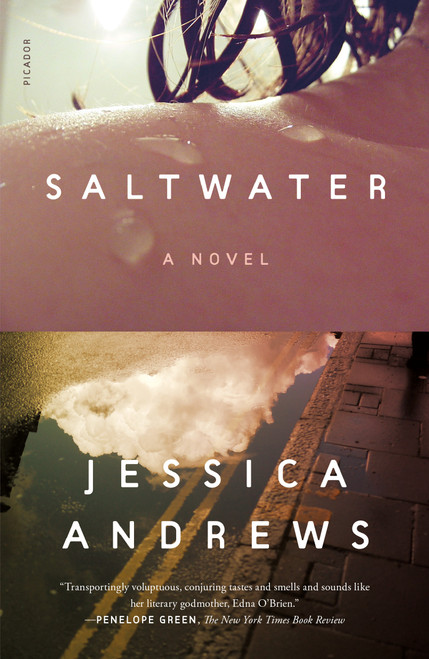 Saltwater (A Novel) - 9781250785640 by Jessica Andrews, 9781250785640