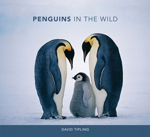 Penguins in the Wild - 9780262019606 by David Tipling, 9780262019606
