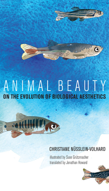 Animal Beauty (On the Evolution of Biological Aesthetics) by Christiane Nusslein-Volhard, Suse Grutzmacher, 9780262039949